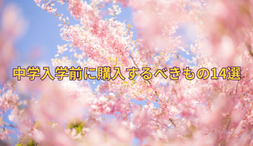 【中学生】入学する前に揃えるべきもの14選